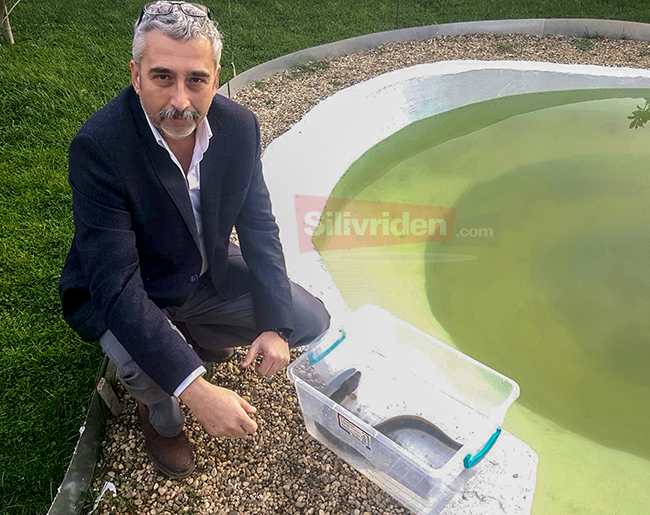 Silivri'de 'Deniz Yılanı' yakalandı 