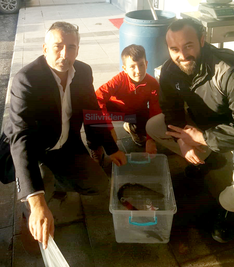 Silivri'de 'Deniz Yılanı' yakalandı 