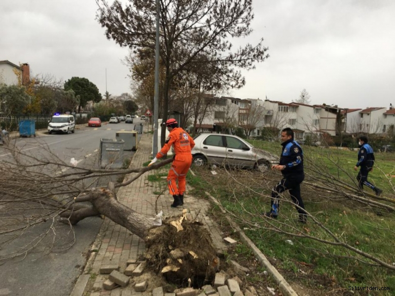Fırtına'nın Silivri bilançosu