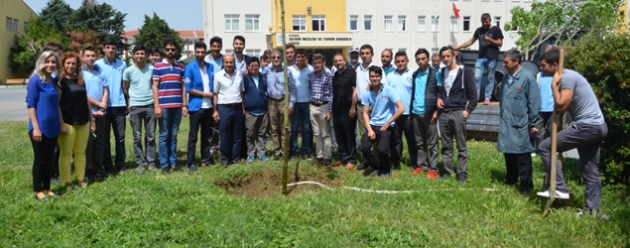 Doğrular Grup desteğiyle ağaç dikti!