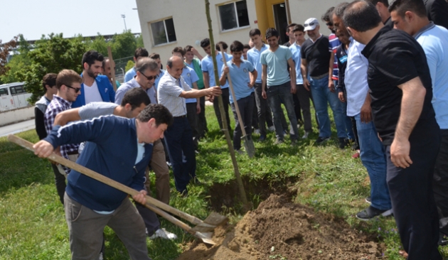 Doğrular Grup desteğiyle ağaç dikti!