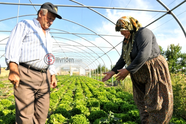AŞK YAŞIYORUZ