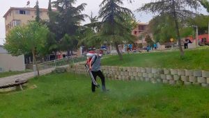 Belediye Ekipleri İlaçlama Çalışmalarına Başladı