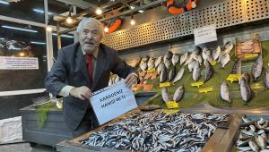 Palamuttan sonra hamsi fiyatları da düştü