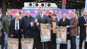 Silivri'de milli ayçiçek tohumu seferberliği devam ediyor