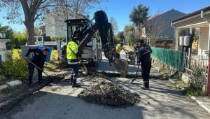 İlçe genelinde yol bakım ve onarım atağı