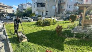 Silivri’de park ve yeşil alanlarda bakım çalışmaları sürüyor